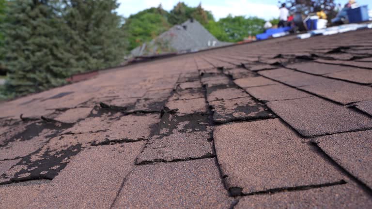 Best Sheet Metal Roofing  in Mayfield, PA