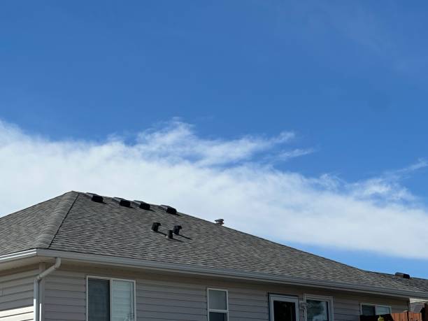 Best Cold Roofs  in Mayfield, PA